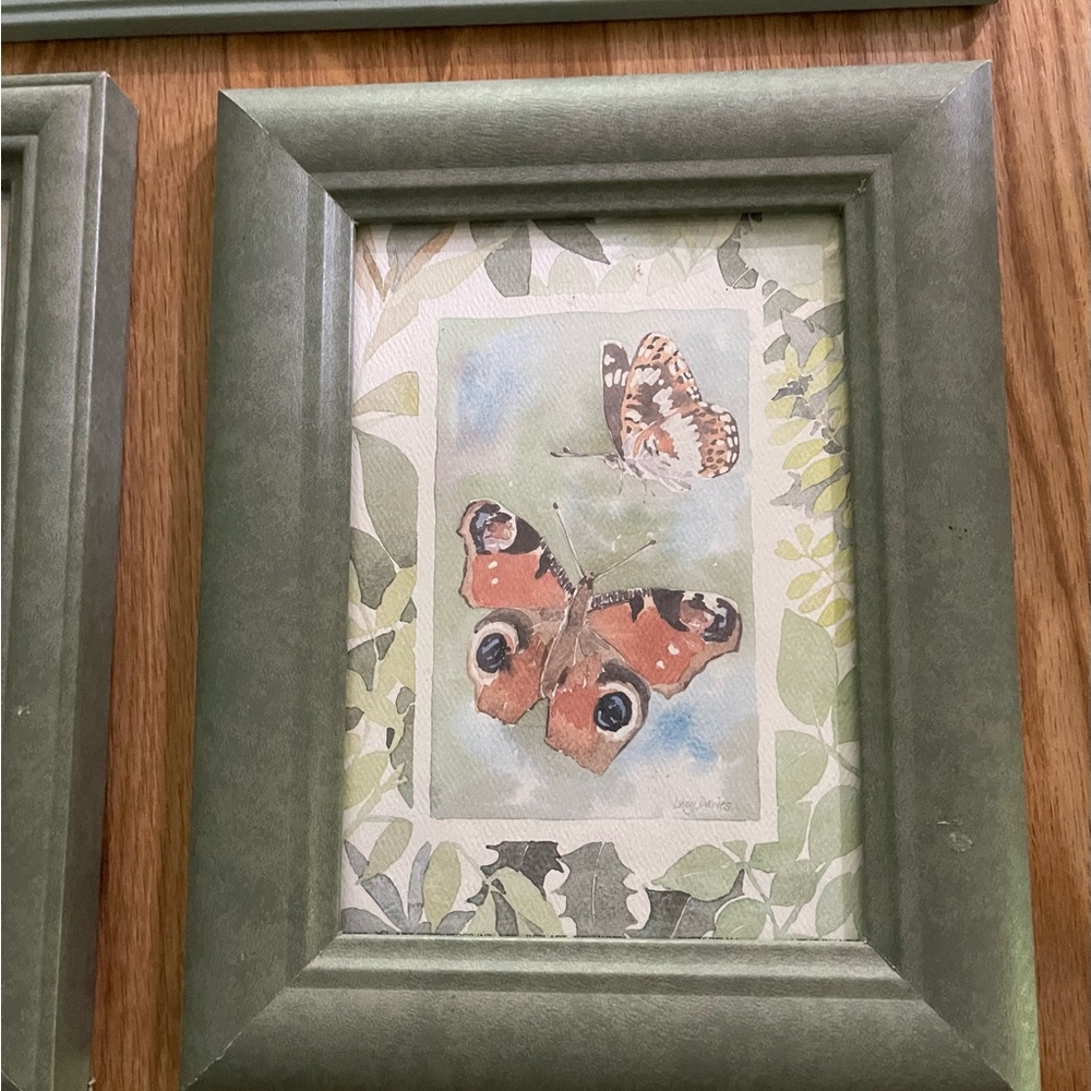 Green Framed Butterfly Art Print